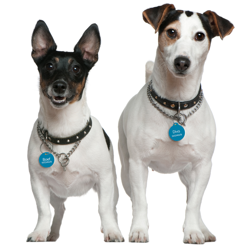 Honden penningen